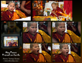 Young Monk- College of Higher Tibetan Leaning