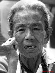 demonstrator for tibet